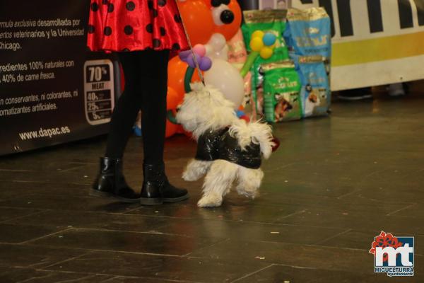 Concurso Mascotas Dejando Huella - Carnaval 2018-Fuente imagen Area Comunicacion Ayuntamiento Miguelturra-012