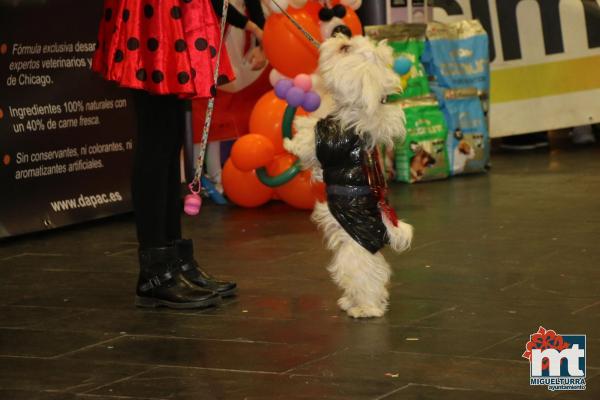 Concurso Mascotas Dejando Huella - Carnaval 2018-Fuente imagen Area Comunicacion Ayuntamiento Miguelturra-013