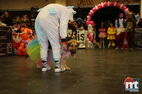 Concurso Mascotas Dejando Huella - Carnaval 2018-Fuente imagen Area Comunicacion Ayuntamiento Miguelturra-027