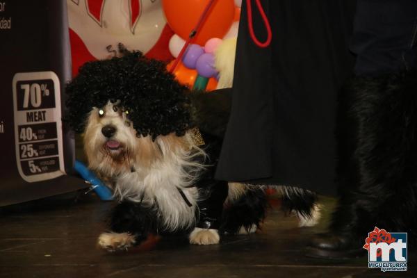 Concurso Mascotas Dejando Huella - Carnaval 2018-Fuente imagen Area Comunicacion Ayuntamiento Miguelturra-031