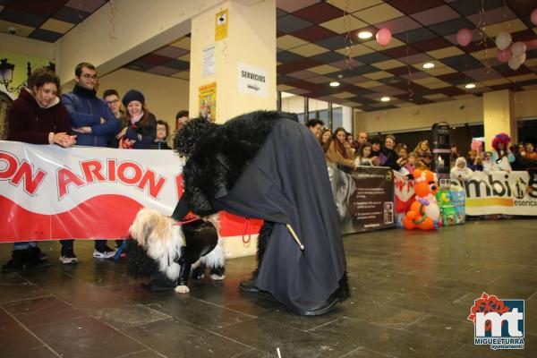 Concurso Mascotas Dejando Huella - Carnaval 2018-Fuente imagen Area Comunicacion Ayuntamiento Miguelturra-034