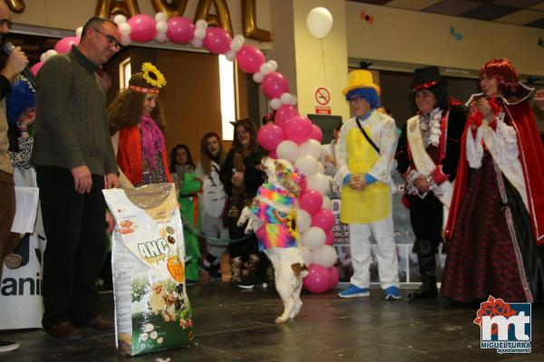 Concurso Mascotas Dejando Huella - Carnaval 2018-Fuente imagen Area Comunicacion Ayuntamiento Miguelturra-125