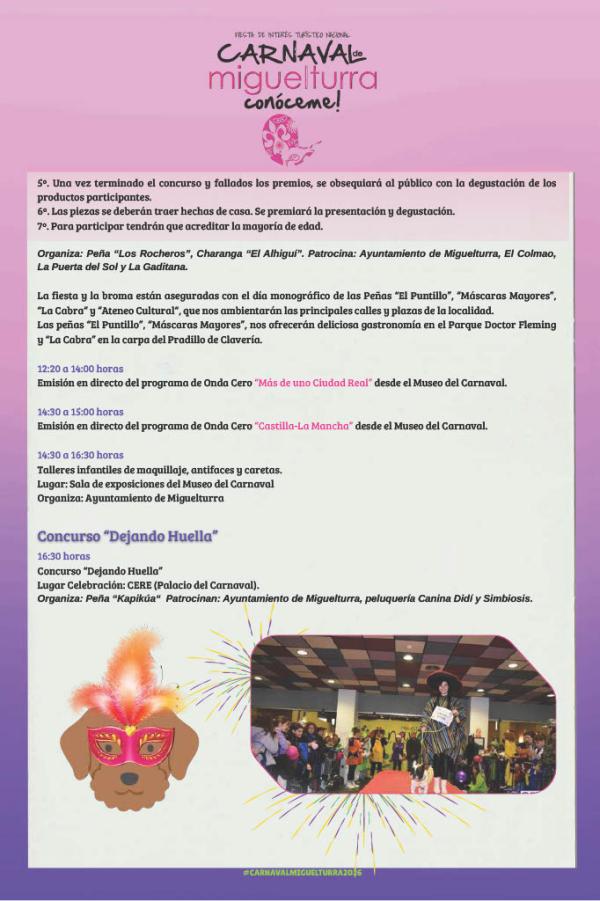 carnavalmiguelturra2026-20