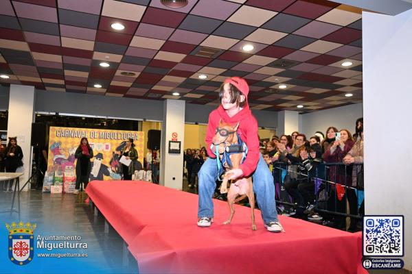 nombre galería-fecha-Fuente imagen Area Comunicación Ayuntamiento de Miguelturra-022