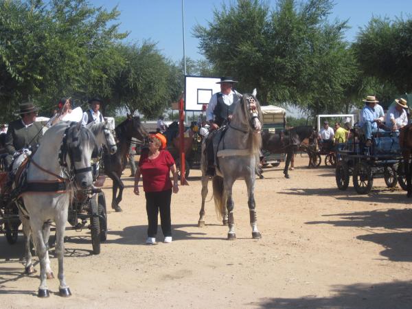 pasacalles caballos ferias-2013-09-01-fuente Area de Festejos-001