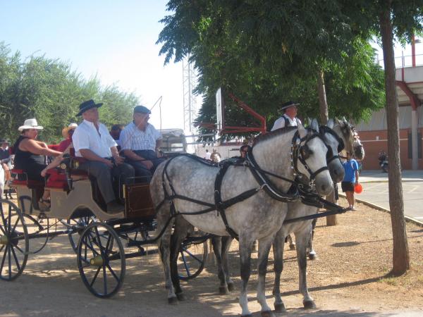 pasacalles caballos ferias-2013-09-01-fuente Area de Festejos-004