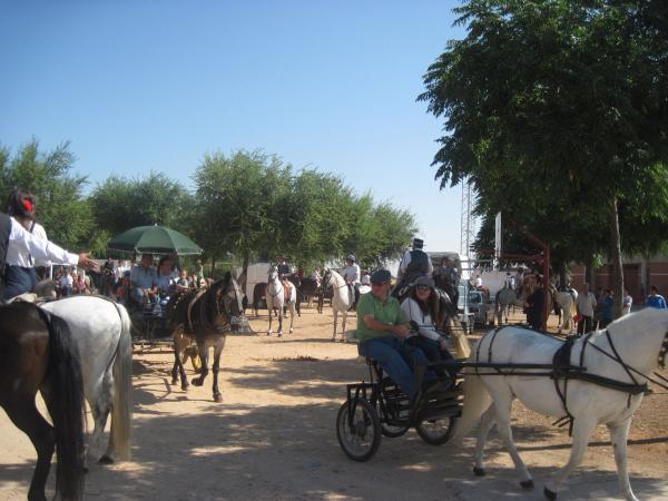 pasacalles caballos ferias-2013-09-01-fuente Area de Festejos-005