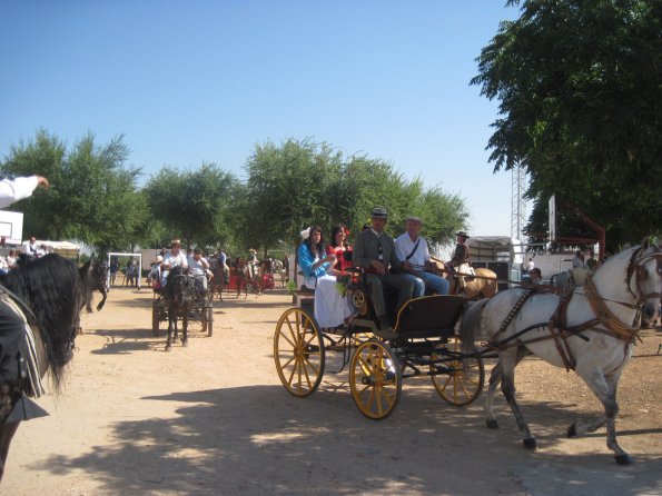pasacalles caballos ferias-2013-09-01-fuente Area de Festejos-006