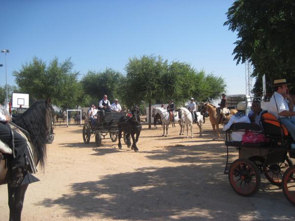 pasacalles caballos ferias-2013-09-01-fuente Area de Festejos-007