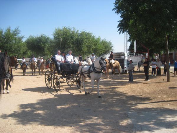 pasacalles caballos ferias-2013-09-01-fuente Area de Festejos-008