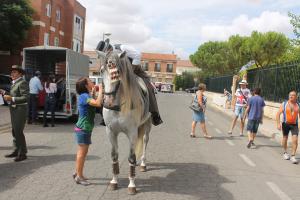 08-pasacallescaballos