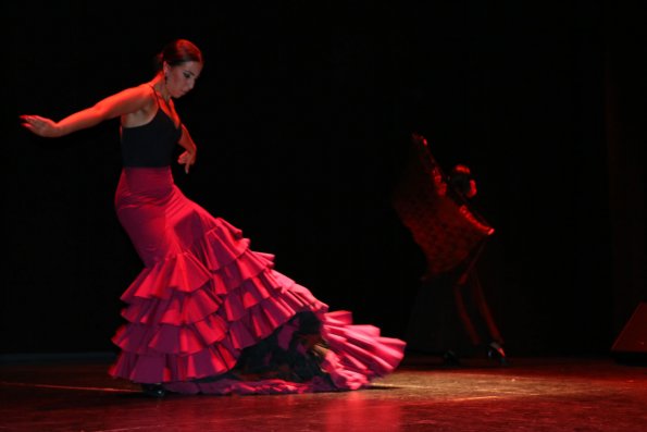 Festival Benefico Arte Español y Flamenco Ferias-2014-09-10-fuente Area Comunicacion Municipal-004