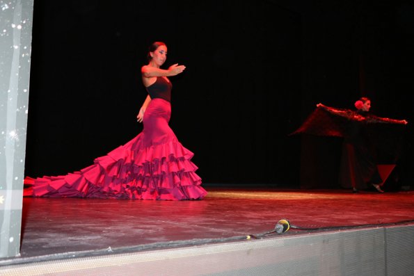 Festival Benefico Arte Español y Flamenco Ferias-2014-09-10-fuente Area Comunicacion Municipal-005