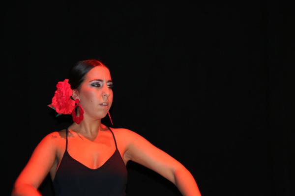 Festival Benefico Arte Español y Flamenco Ferias-2014-09-10-fuente Area Comunicacion Municipal-026