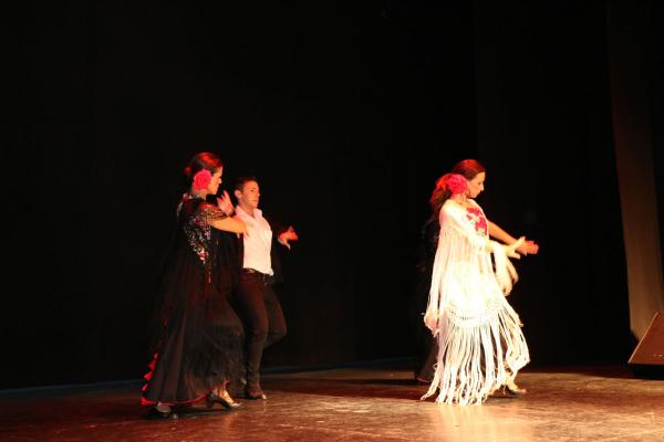 Festival Benefico Arte Español y Flamenco Ferias-2014-09-10-fuente Area Comunicacion Municipal-033