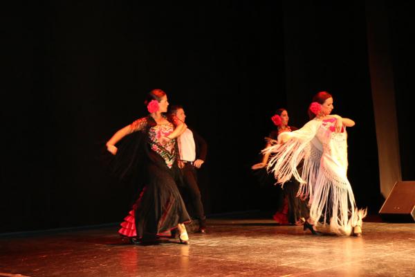 Festival Benefico Arte Español y Flamenco Ferias-2014-09-10-fuente Area Comunicacion Municipal-034