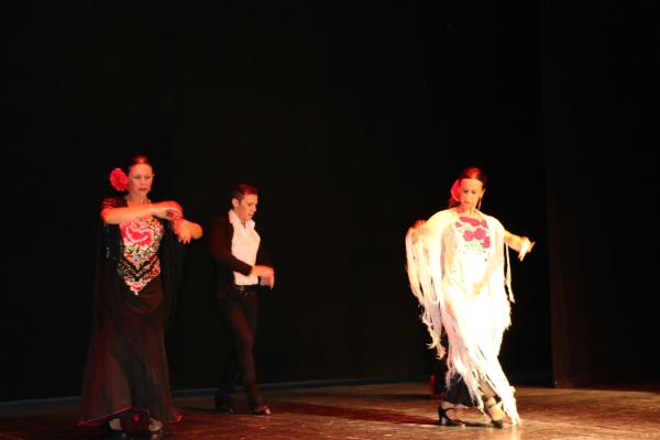 Festival Benefico Arte Español y Flamenco Ferias-2014-09-10-fuente Area Comunicacion Municipal-036