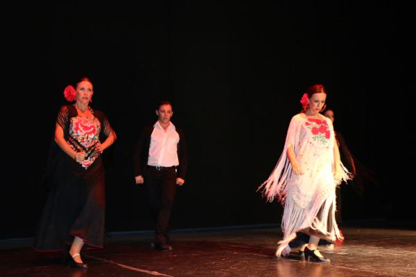Festival Benefico Arte Español y Flamenco Ferias-2014-09-10-fuente Area Comunicacion Municipal-037