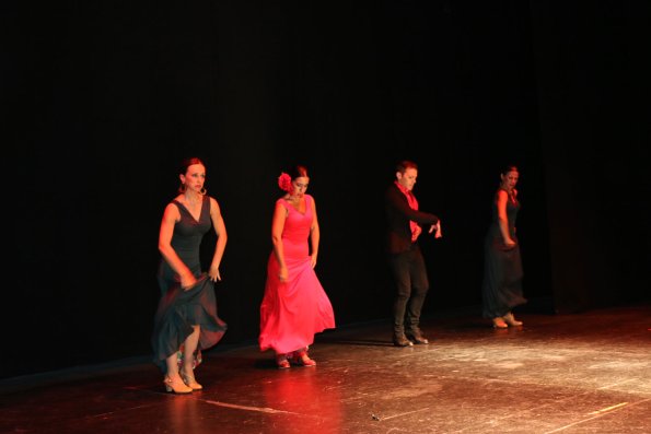 Festival Benefico Arte Español y Flamenco Ferias-2014-09-10-fuente Area Comunicacion Municipal-065