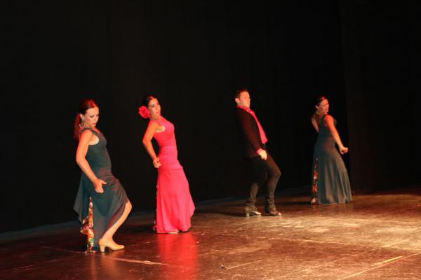 Festival Benefico Arte Español y Flamenco Ferias-2014-09-10-fuente Area Comunicacion Municipal-066