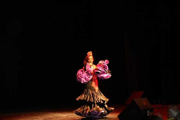 Festival Benefico Arte Español y Flamenco Ferias-2014-09-10-fuente Area Comunicacion Municipal-071