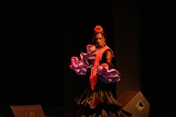 Festival Benefico Arte Español y Flamenco Ferias-2014-09-10-fuente Area Comunicacion Municipal-073