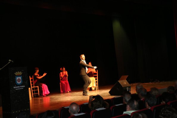 Festival Benefico Arte Español y Flamenco Ferias-2014-09-10-fuente Area Comunicacion Municipal-079