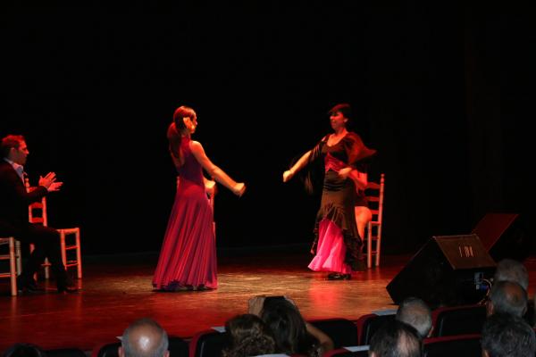 Festival Benefico Arte Español y Flamenco Ferias-2014-09-10-fuente Area Comunicacion Municipal-089