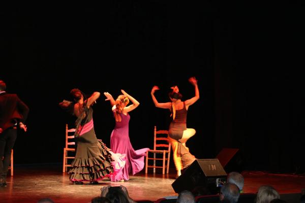 Festival Benefico Arte Español y Flamenco Ferias-2014-09-10-fuente Area Comunicacion Municipal-091