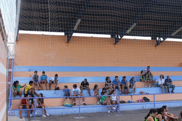 Torneo Voley Hierba Ferias-2014-09-11-fuente Area de Deportes-07