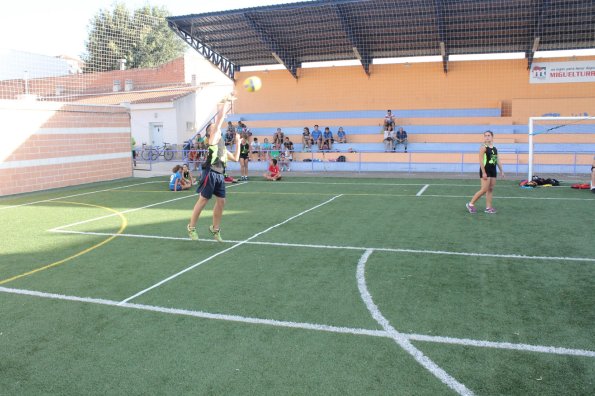 Torneo Voley Hierba Ferias-2014-09-11-fuente Area de Deportes-18