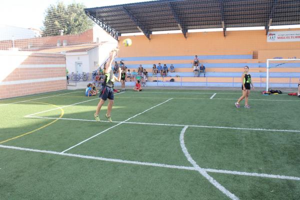 Torneo Voley Hierba Ferias-2014-09-11-fuente Area de Deportes-18