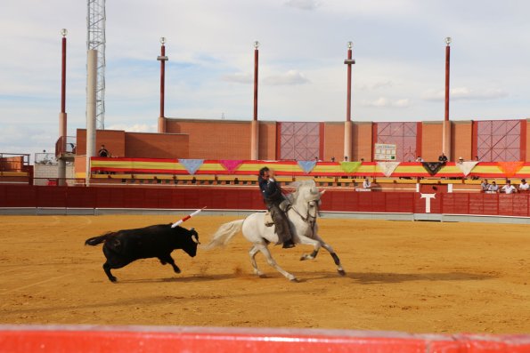 Festival Taurino Ferias-2014-09-13-Fuente Area Comunicacion Municipal-097