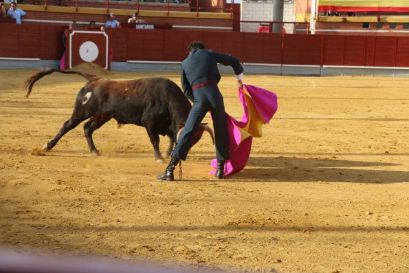 Festival Taurino Ferias-2014-09-13-Fuente Area Comunicacion Municipal-119