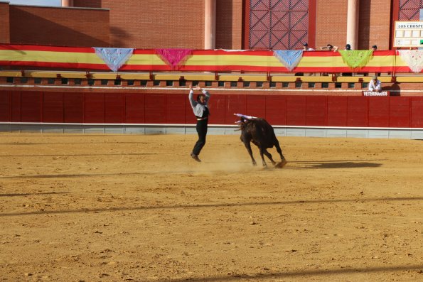 Festival Taurino Ferias-2014-09-13-Fuente Area Comunicacion Municipal-120