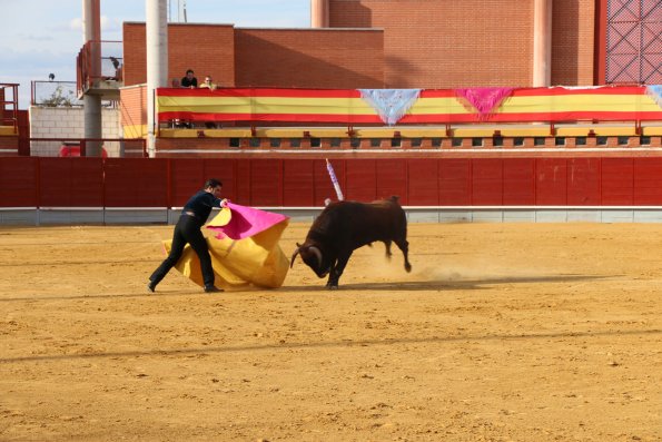 Festival Taurino Ferias-2014-09-13-Fuente Area Comunicacion Municipal-121