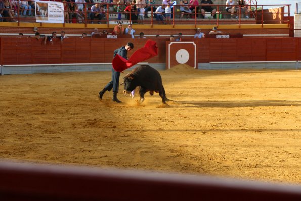 Festival Taurino Ferias-2014-09-13-Fuente Area Comunicacion Municipal-130