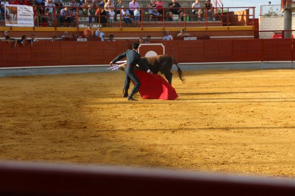 Festival Taurino Ferias-2014-09-13-Fuente Area Comunicacion Municipal-131