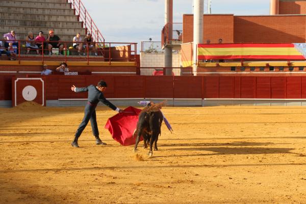 Festival Taurino Ferias-2014-09-13-Fuente Area Comunicacion Municipal-139