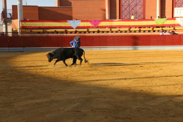 Festival Taurino Ferias-2014-09-13-Fuente Area Comunicacion Municipal-166