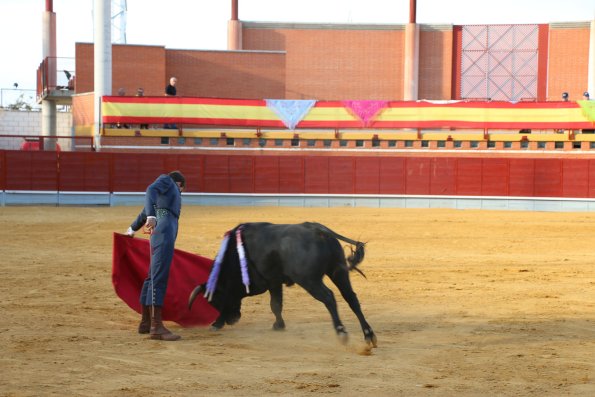 Festival Taurino Ferias-2014-09-13-Fuente Area Comunicacion Municipal-171