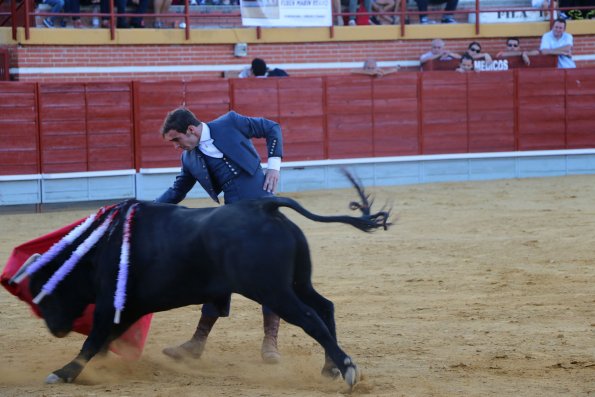 Festival Taurino Ferias-2014-09-13-Fuente Area Comunicacion Municipal-173