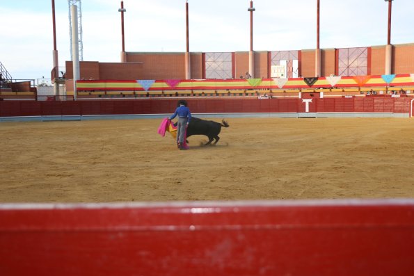 Festival Taurino Ferias-2014-09-13-Fuente Area Comunicacion Municipal-182