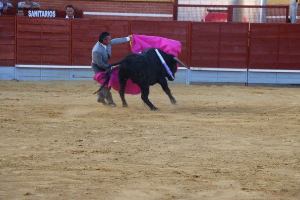 Festival Taurino Ferias-2014-09-13-Fuente Area Comunicacion Municipal-185