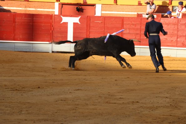 Festival Taurino Ferias-2014-09-13-Fuente Area Comunicacion Municipal-186