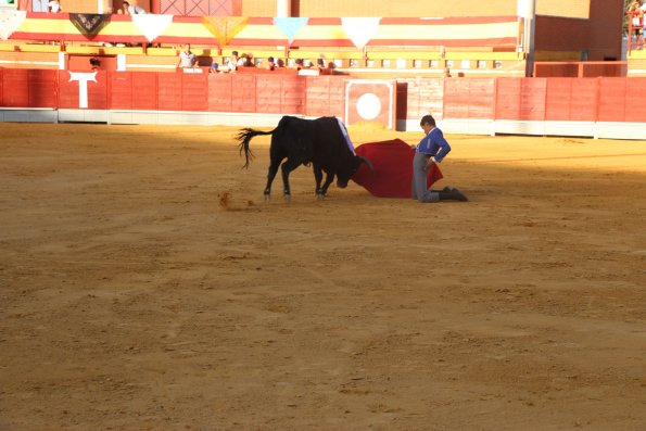 Festival Taurino Ferias-2014-09-13-Fuente Area Comunicacion Municipal-189