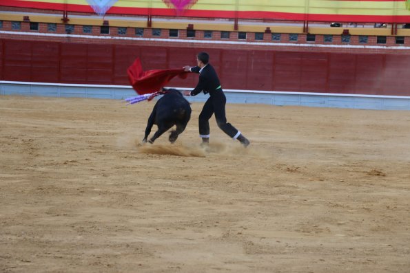 Festival Taurino Ferias-2014-09-13-Fuente Area Comunicacion Municipal-217