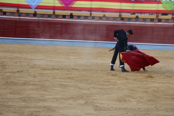 Festival Taurino Ferias-2014-09-13-Fuente Area Comunicacion Municipal-218