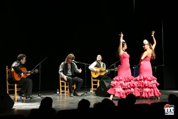 Espectaculo Flamenco Especial Ferias-2015-09-10-fuente Area de Comunicación Municipal-026