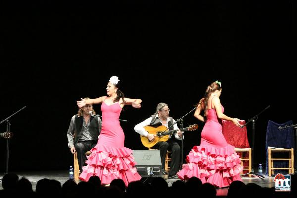Espectaculo Flamenco Especial Ferias-2015-09-10-fuente Area de Comunicación Municipal-037